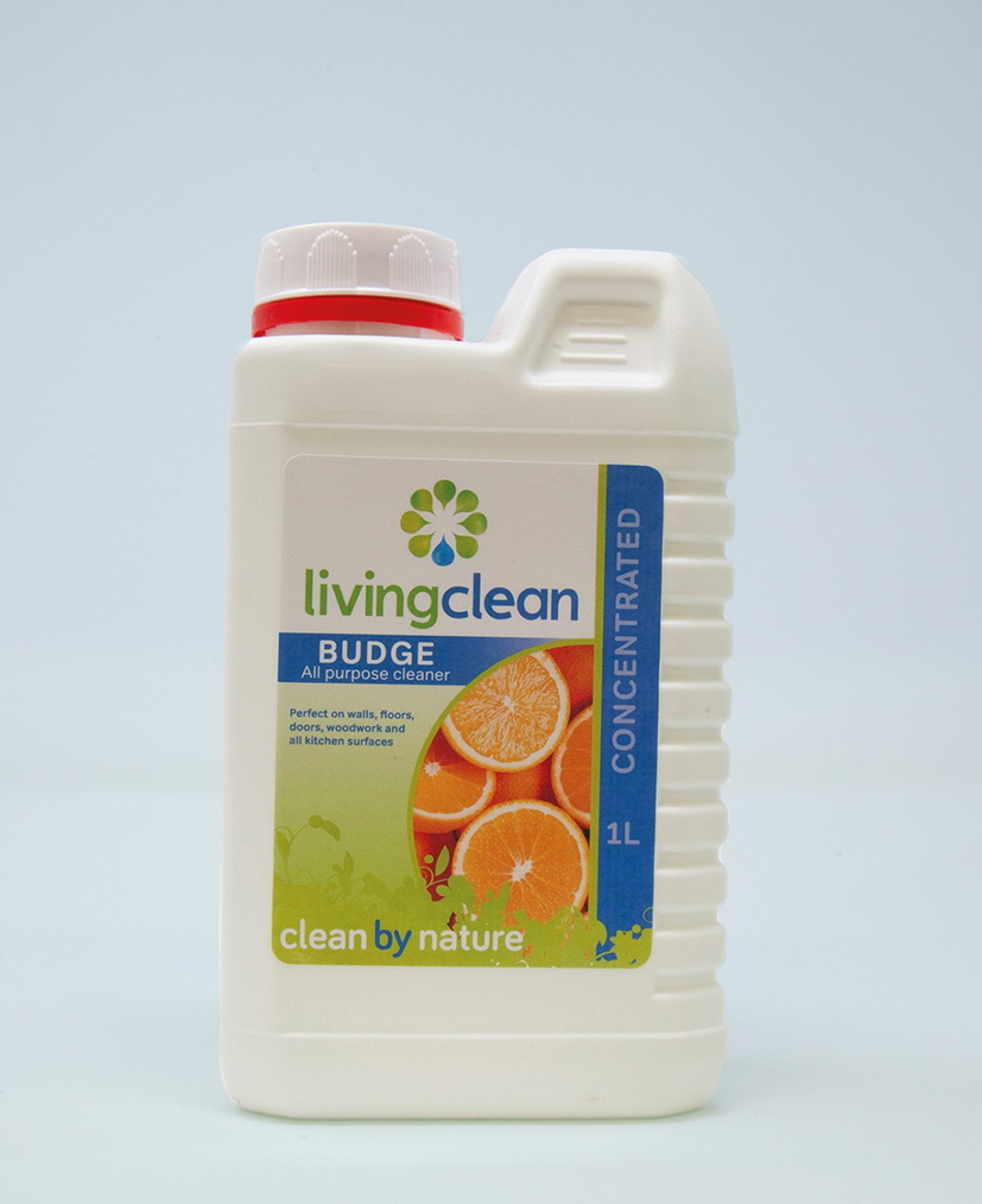 Budge Spring Clean (1L)